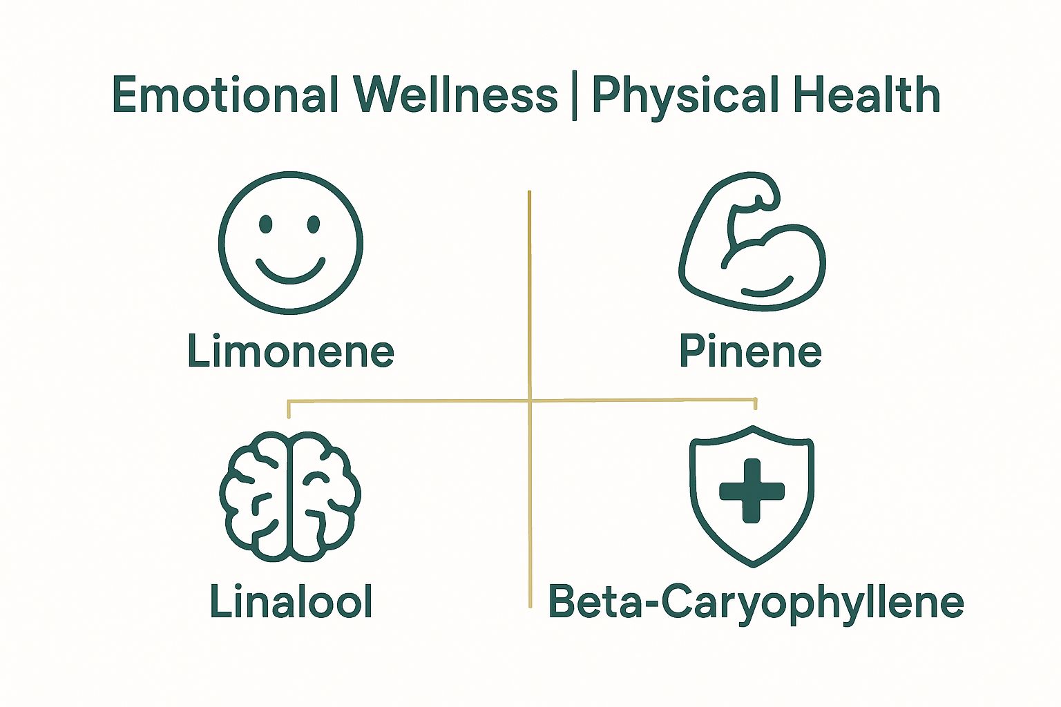 Icons showing terpenes and related wellness benefits