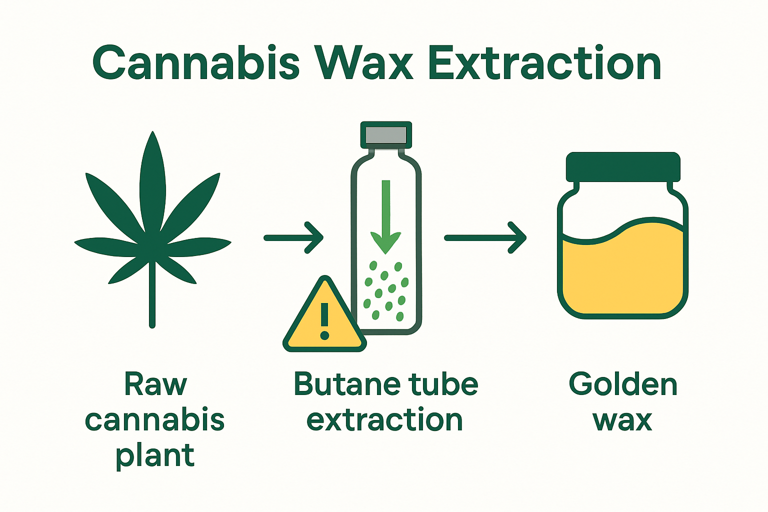 Infographic visualizing cannabis wax extraction process