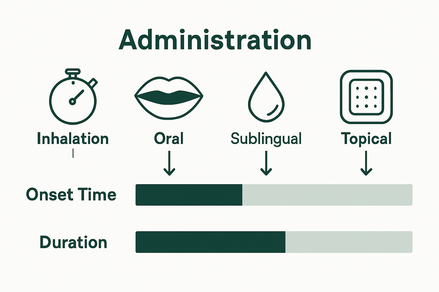 Infographic showing cannabis onset and duration