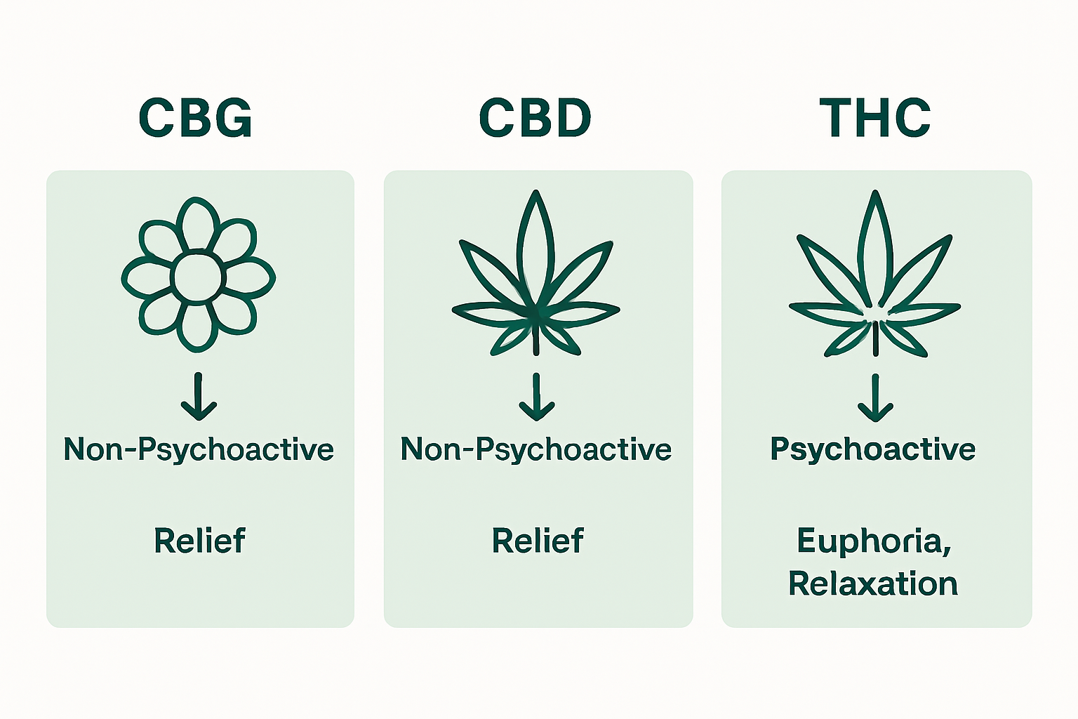 Infographic compares CBG, CBD, and THC differences
