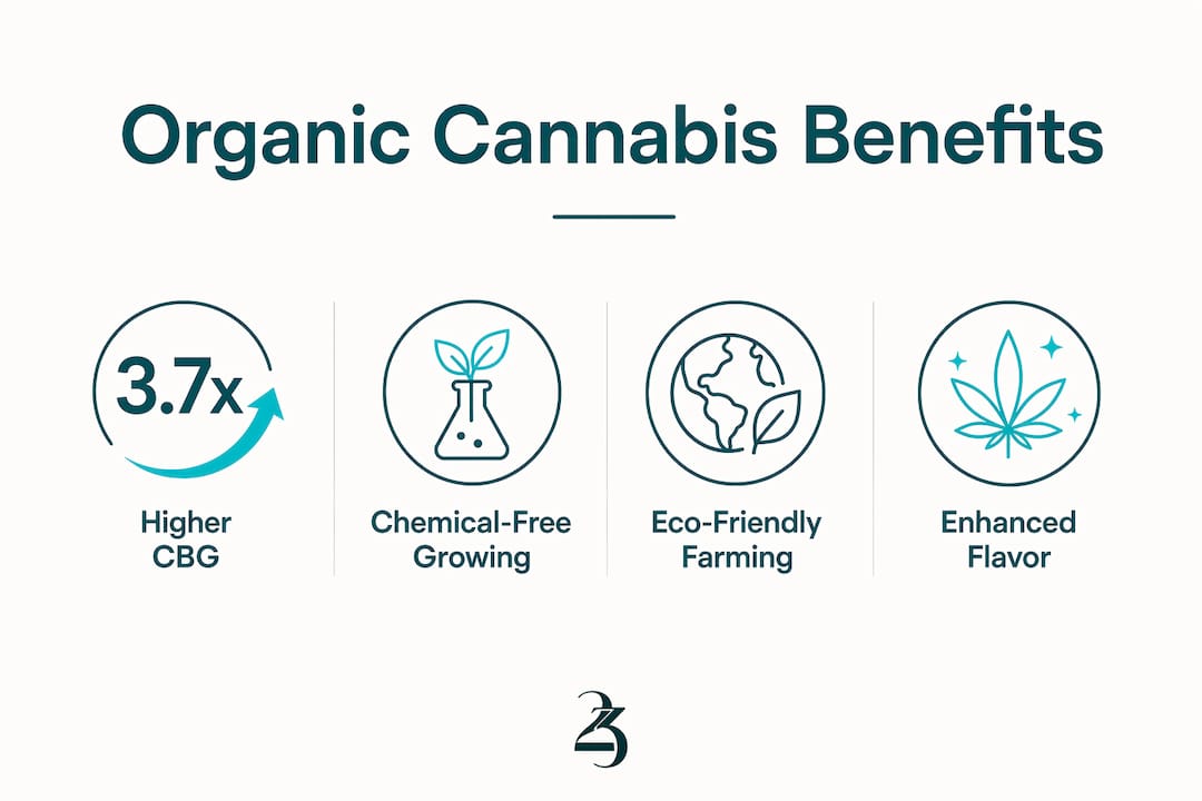 Infographic showing key benefits of organic cannabis