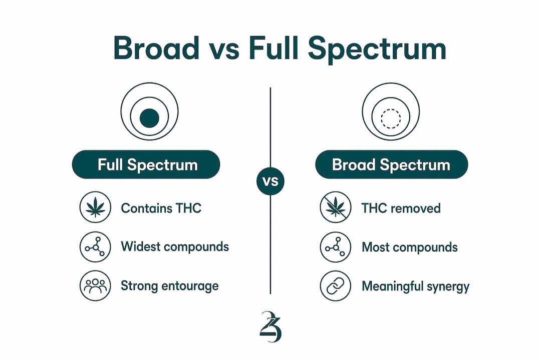 Infographic comparing broad spectrum and full spectrum CBD
