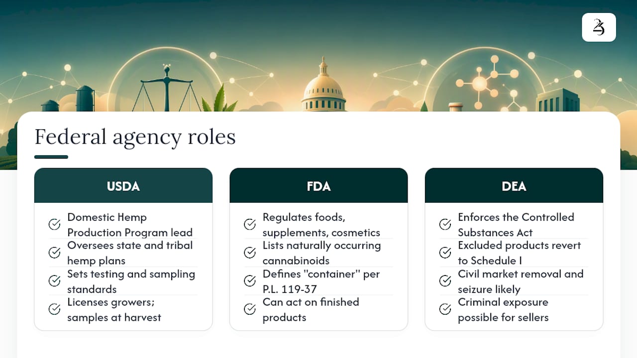 Which federal agencies are involved, and what could enforcement look like? — overview diagram