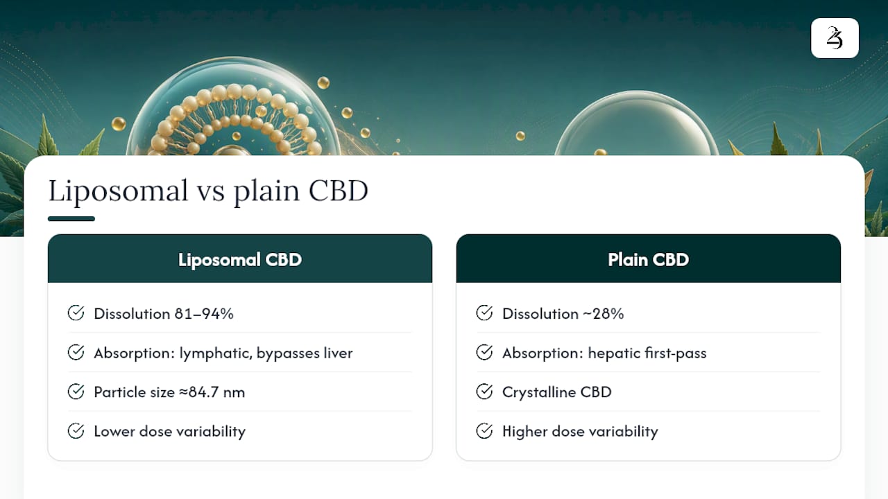 How liposomal encapsulation changes cannabinoid absorption — overview diagram