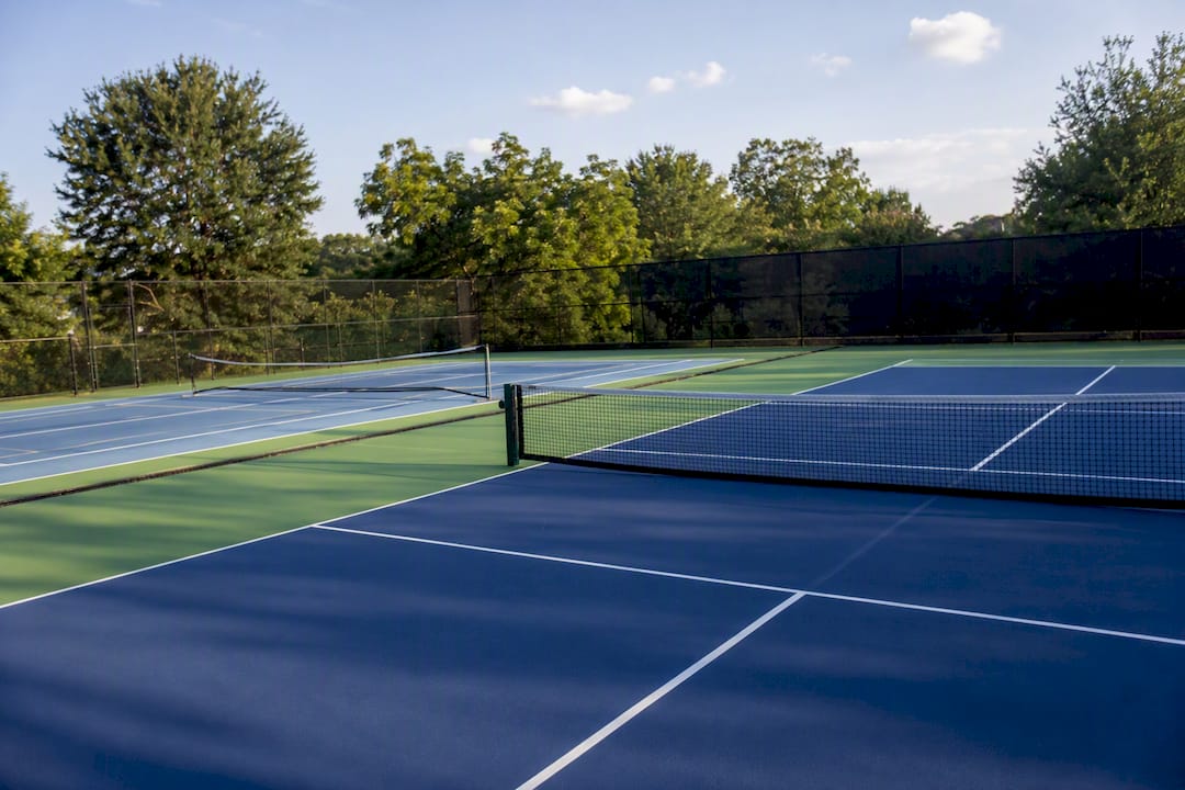 Comparison of dedicated and striped pickleball courts