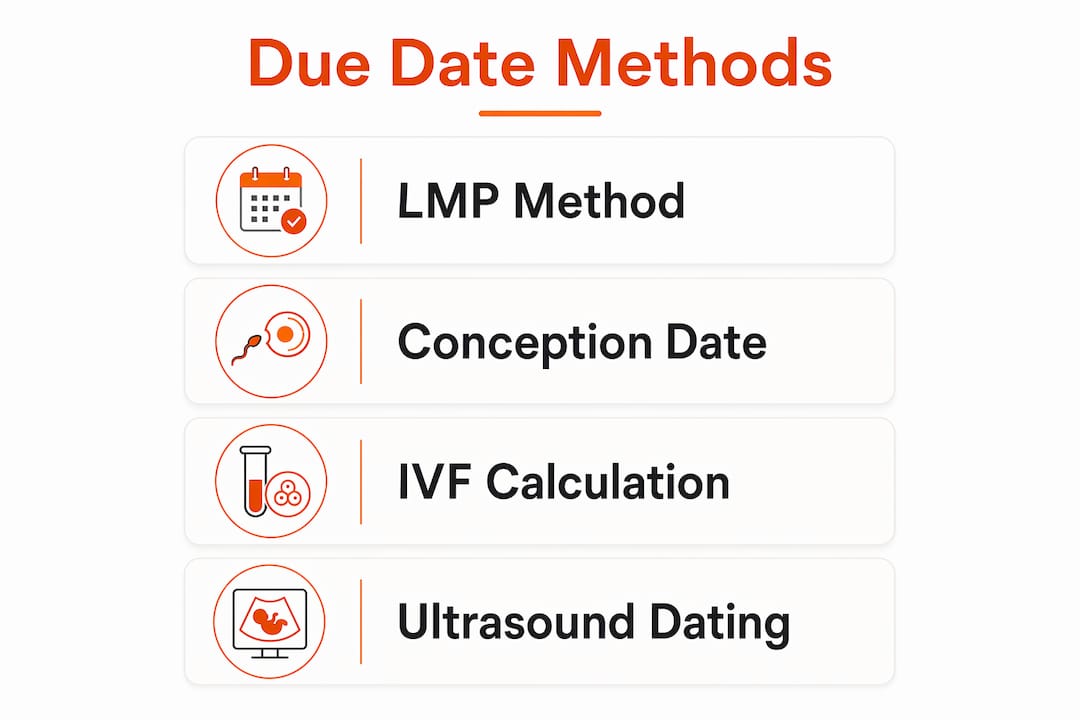 Infographic describing pregnancy due date calculation methods