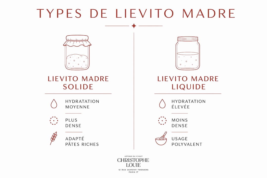 Infographie comparative sur les différentes formes de levain : solide ou liquide