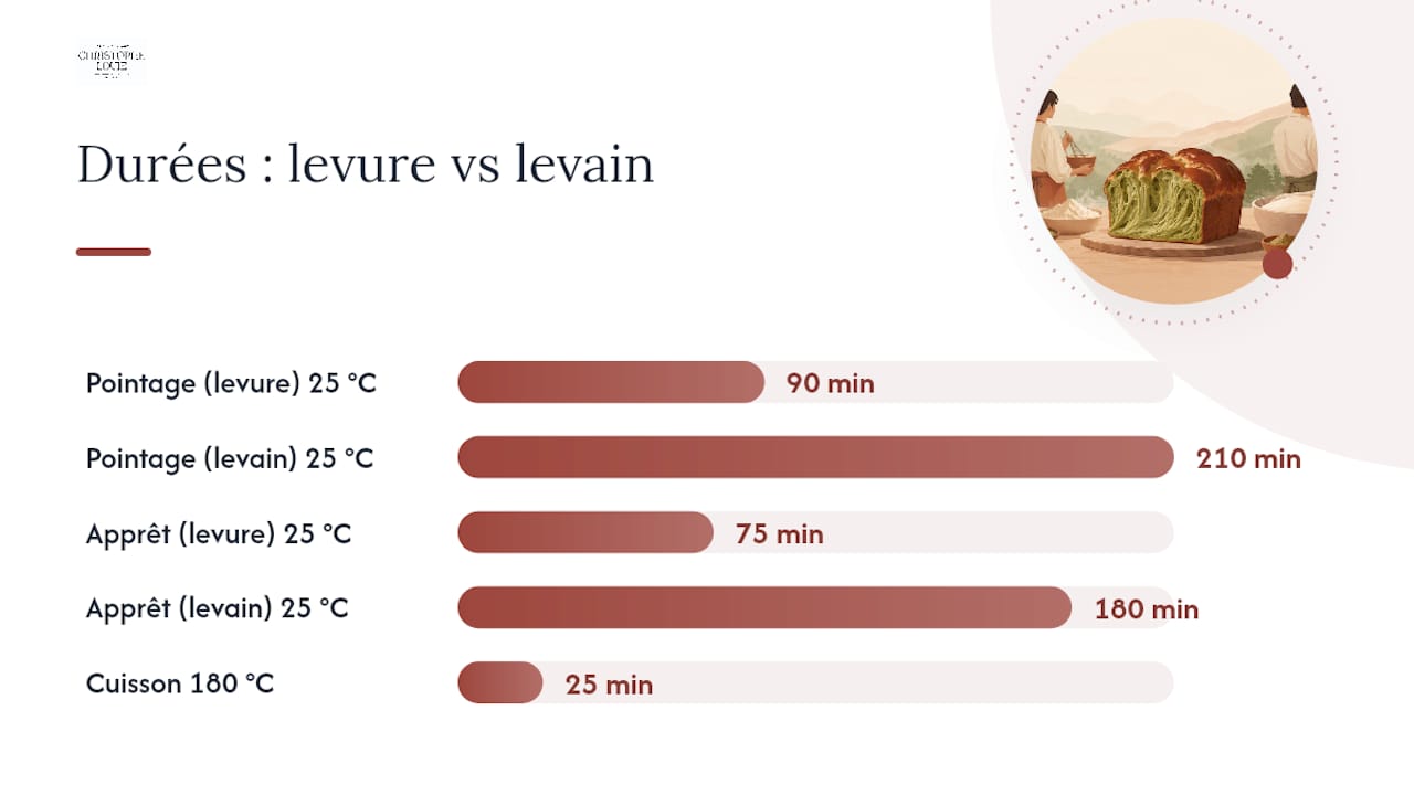 Comparatif des durées et des températures de fermentation : levure versus levain