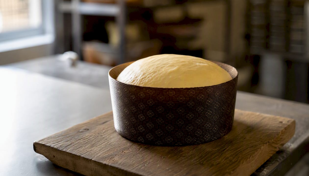 Pâte de panettone bien tendue placée dans un moule rigide en papier