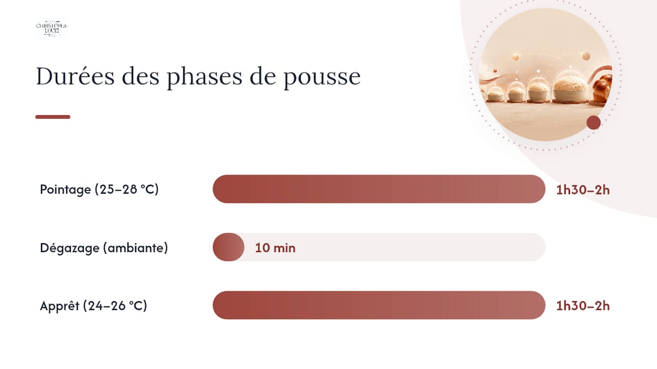 Schéma des différentes étapes de fermentation et de pousse de la brioche