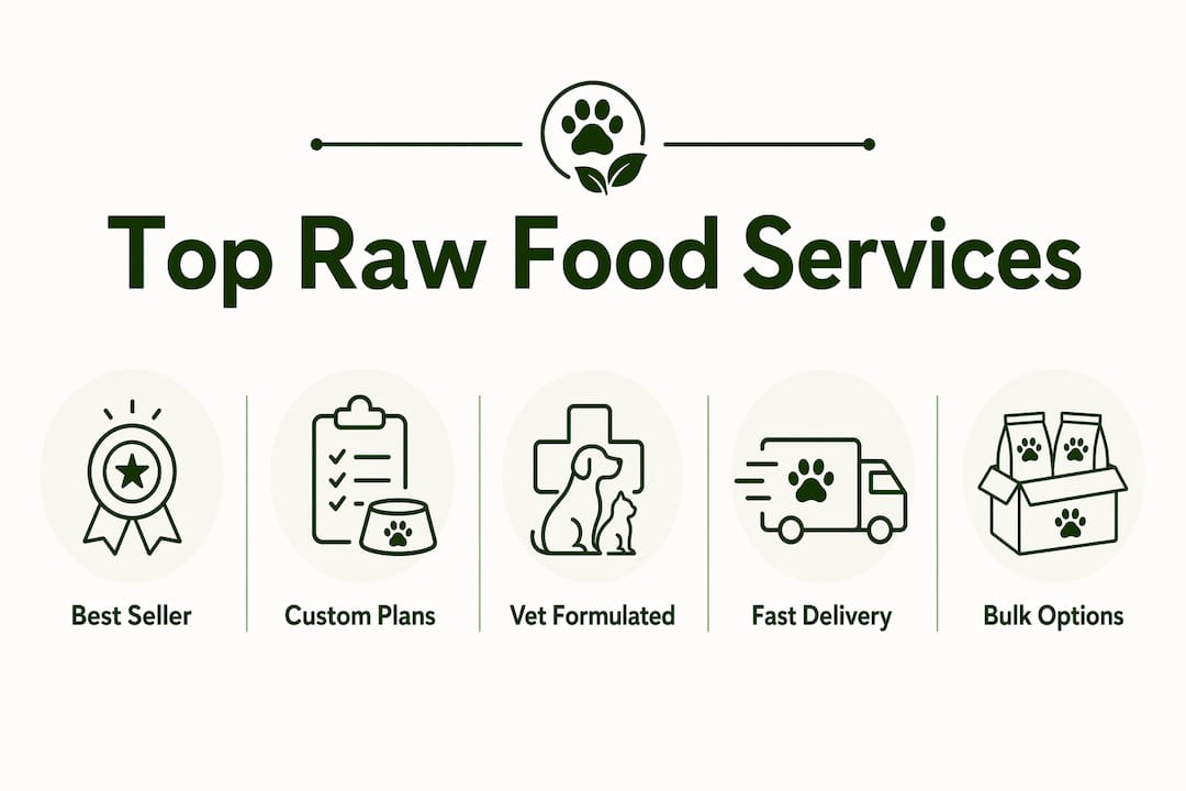 Infographic showing ranked raw dog food delivery services