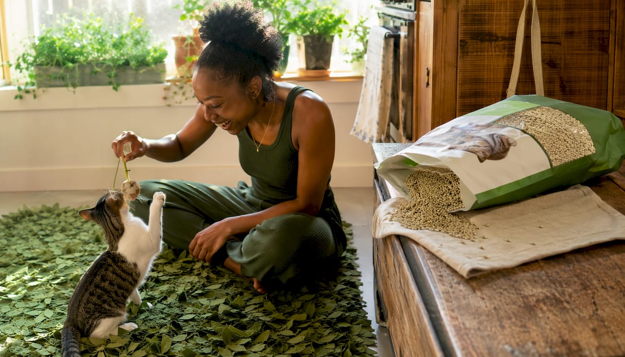 Woman and cat near pea husk natural litter bag
