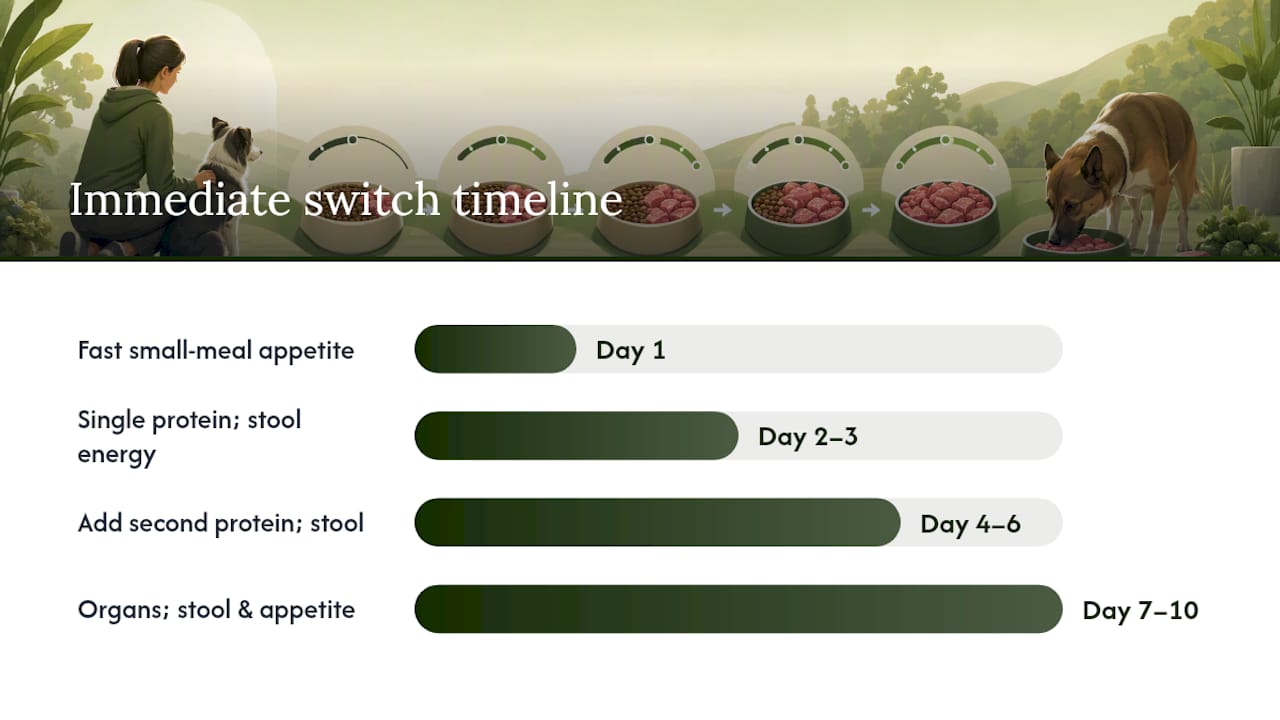 Step-by-step immediate raw diet transition