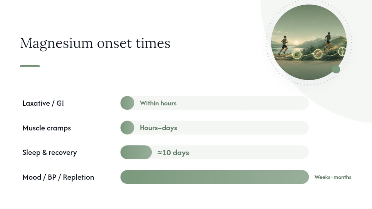 Timeline infographic comparing magnesium onset effects by health outcome