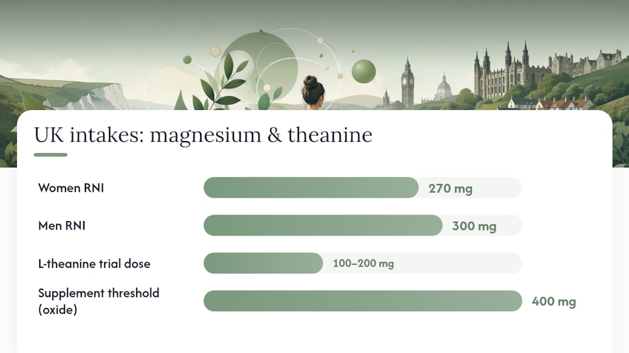 Diagram comparing UK magnesium intake recommendations and supplement safety