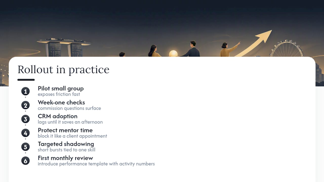 What Does Rolling Out This Framework Actually Look Like? — overview diagram
