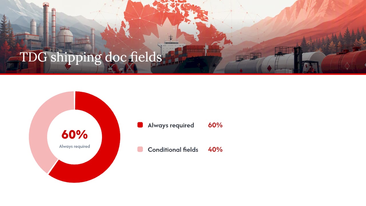 What fields does a TDG shipping document require? — overview diagram