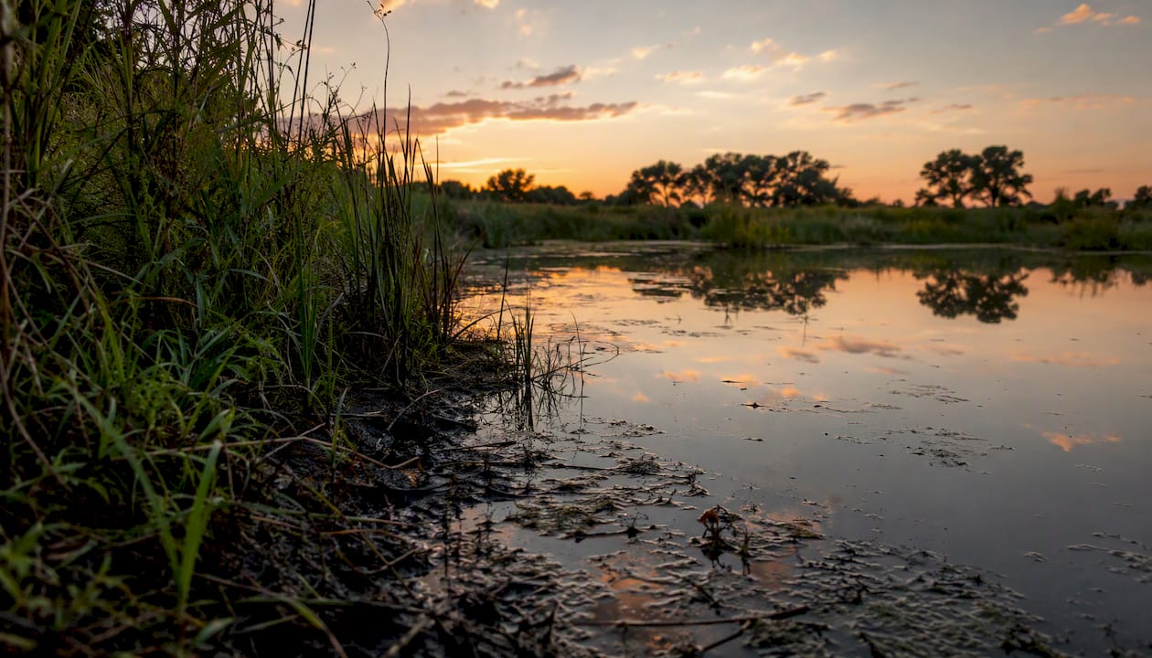 Wetland sediment and water interface environment