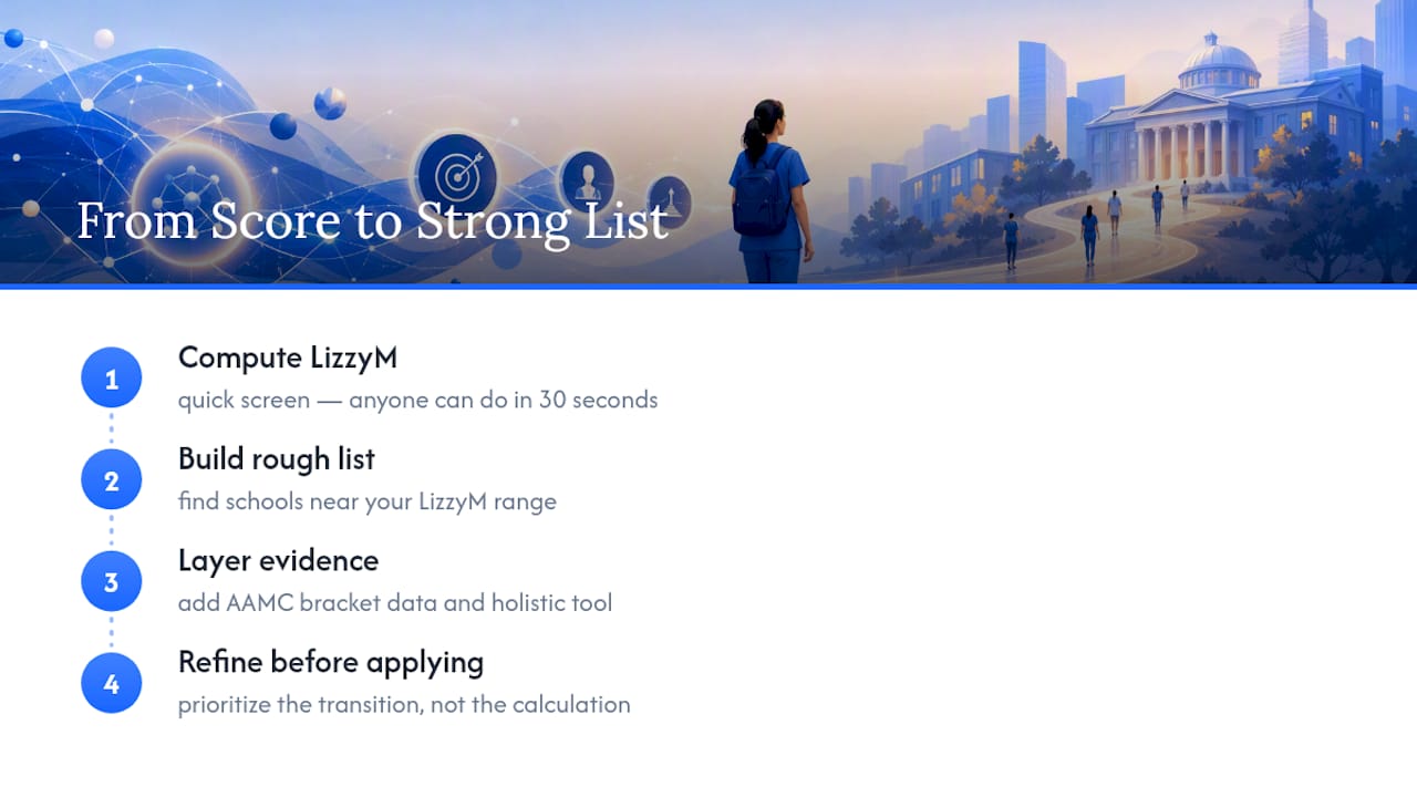 Why the LizzyM Score Gets Misused, and What to Do Instead — overview diagram