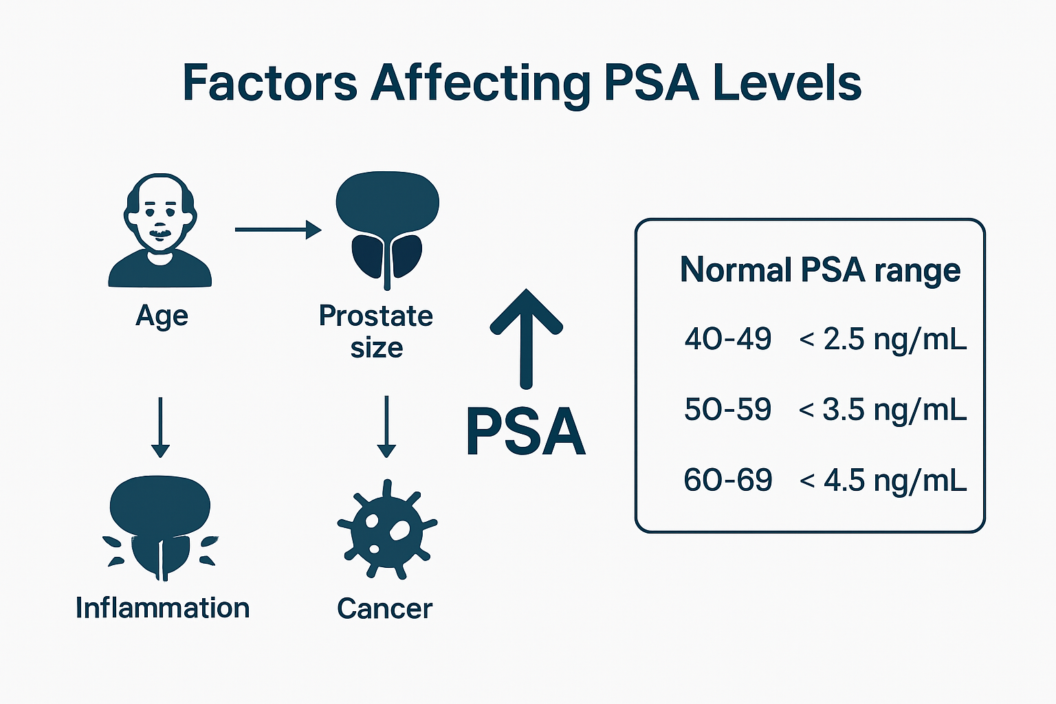 Infographic showing PSA level factors by age and condition