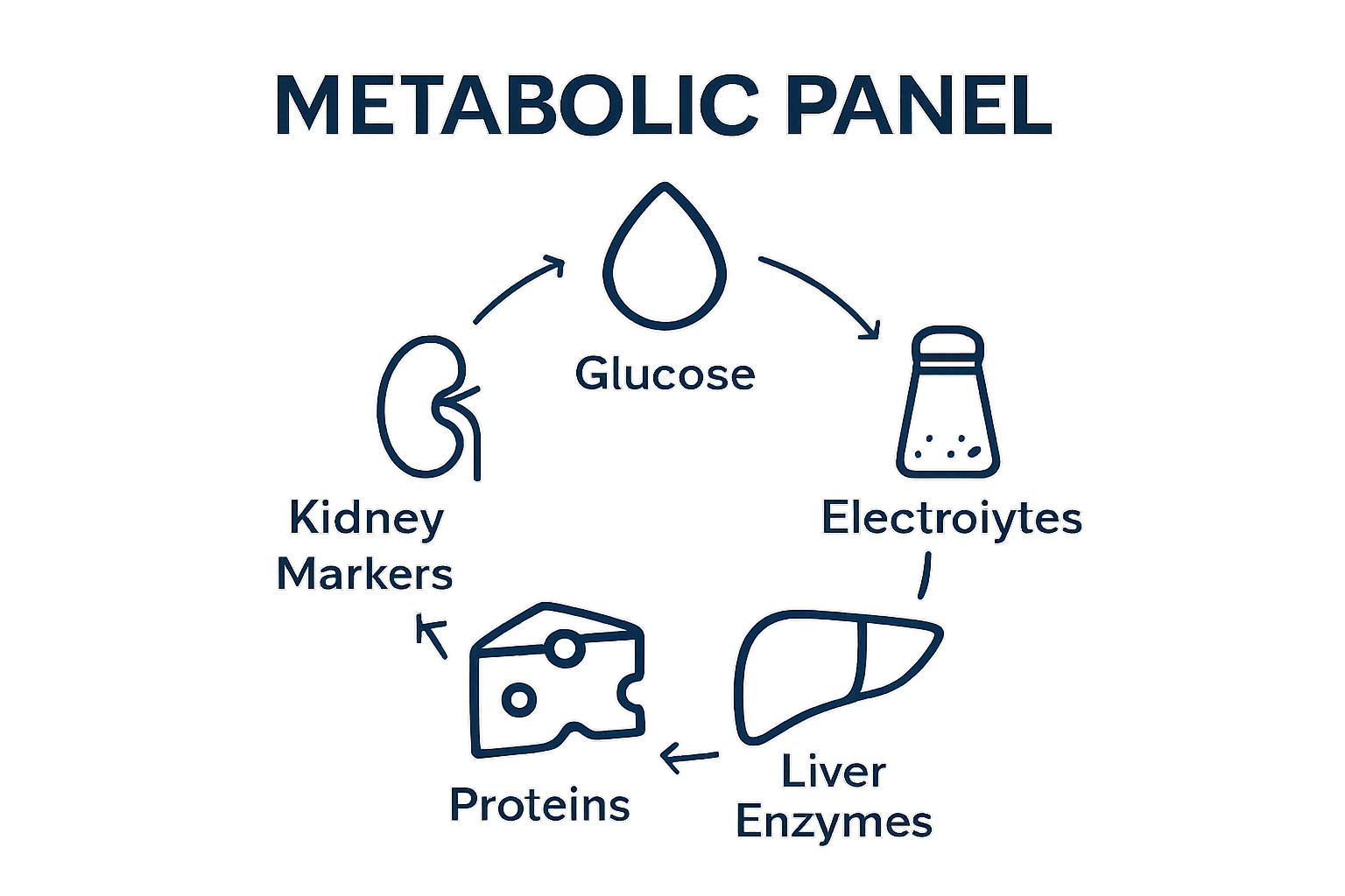 Infographic showing five key components of a metabolic panel: glucose, electrolytes, kidney function, liver enzymes, and proteins.
