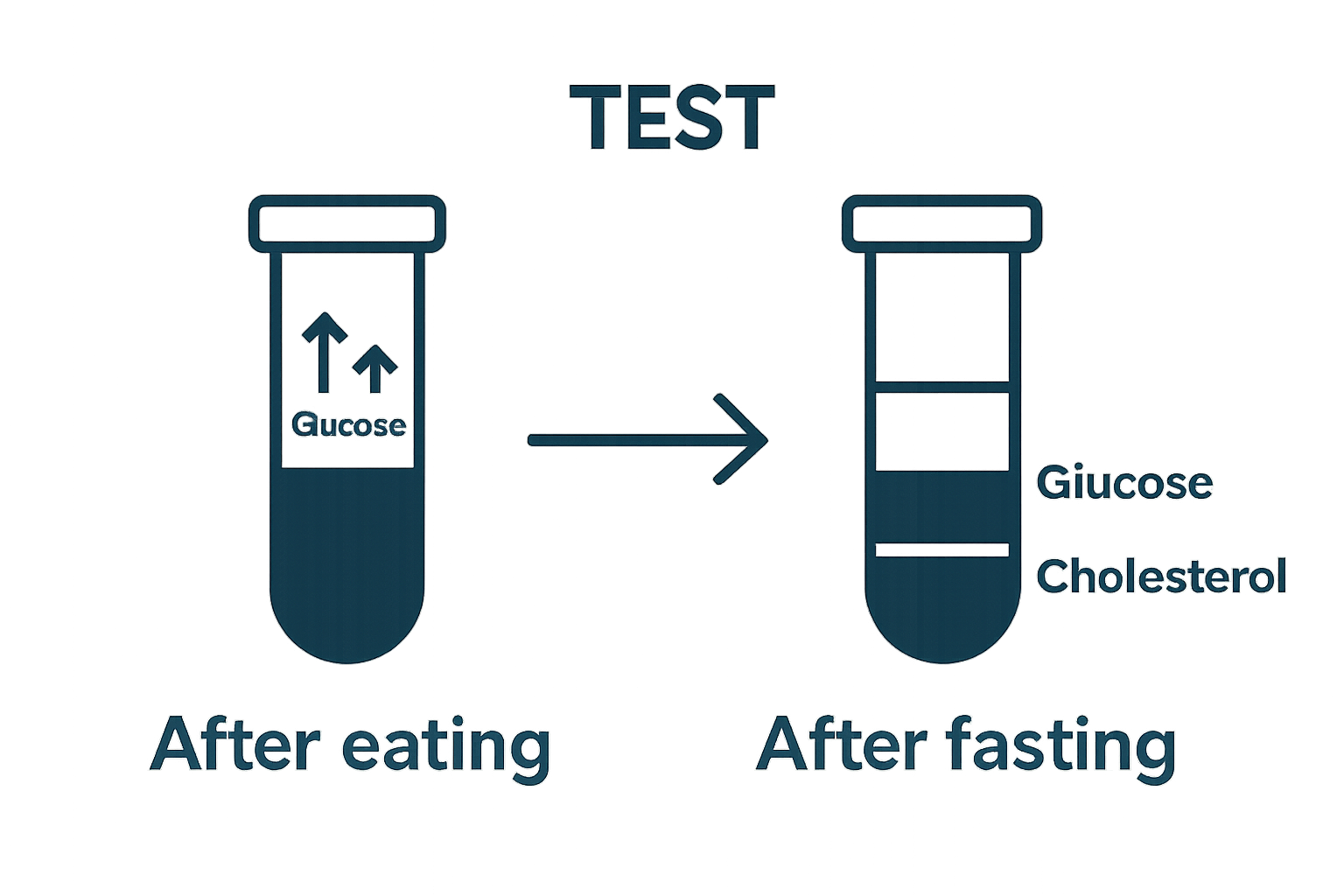 Comparison of blood test results before and after fasting