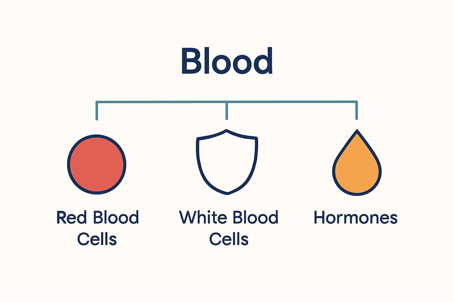 Icons showing blood test components: red blood cells, white blood cells, hormones