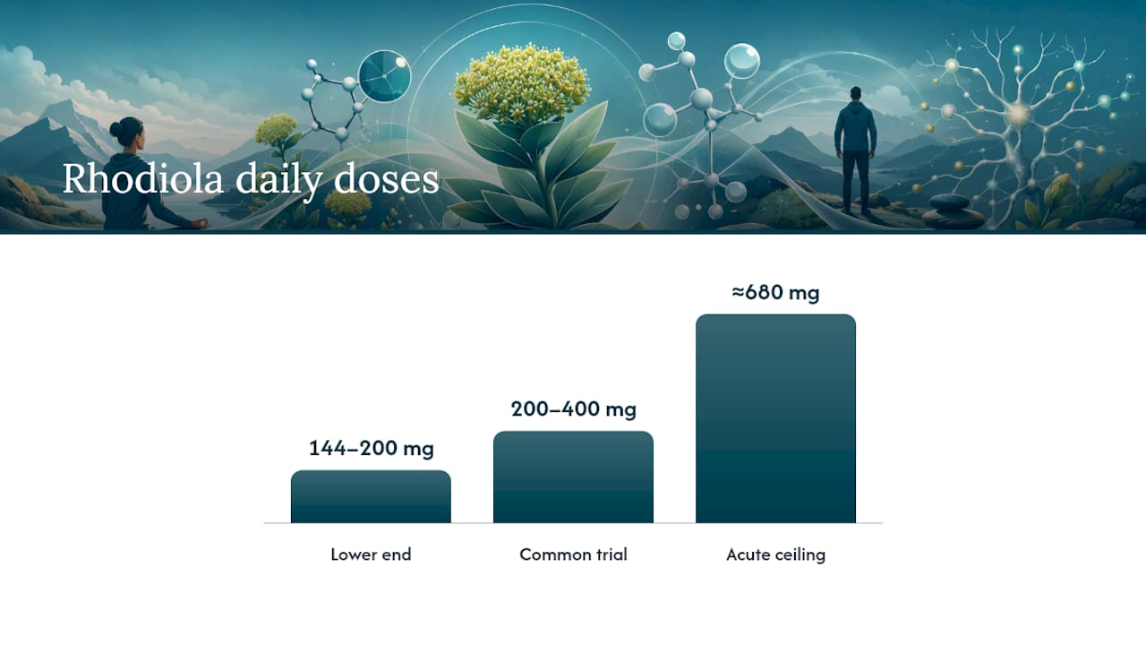 Rhodiola Dosage for Anxiety and Stress: What Trials Used — overview diagram