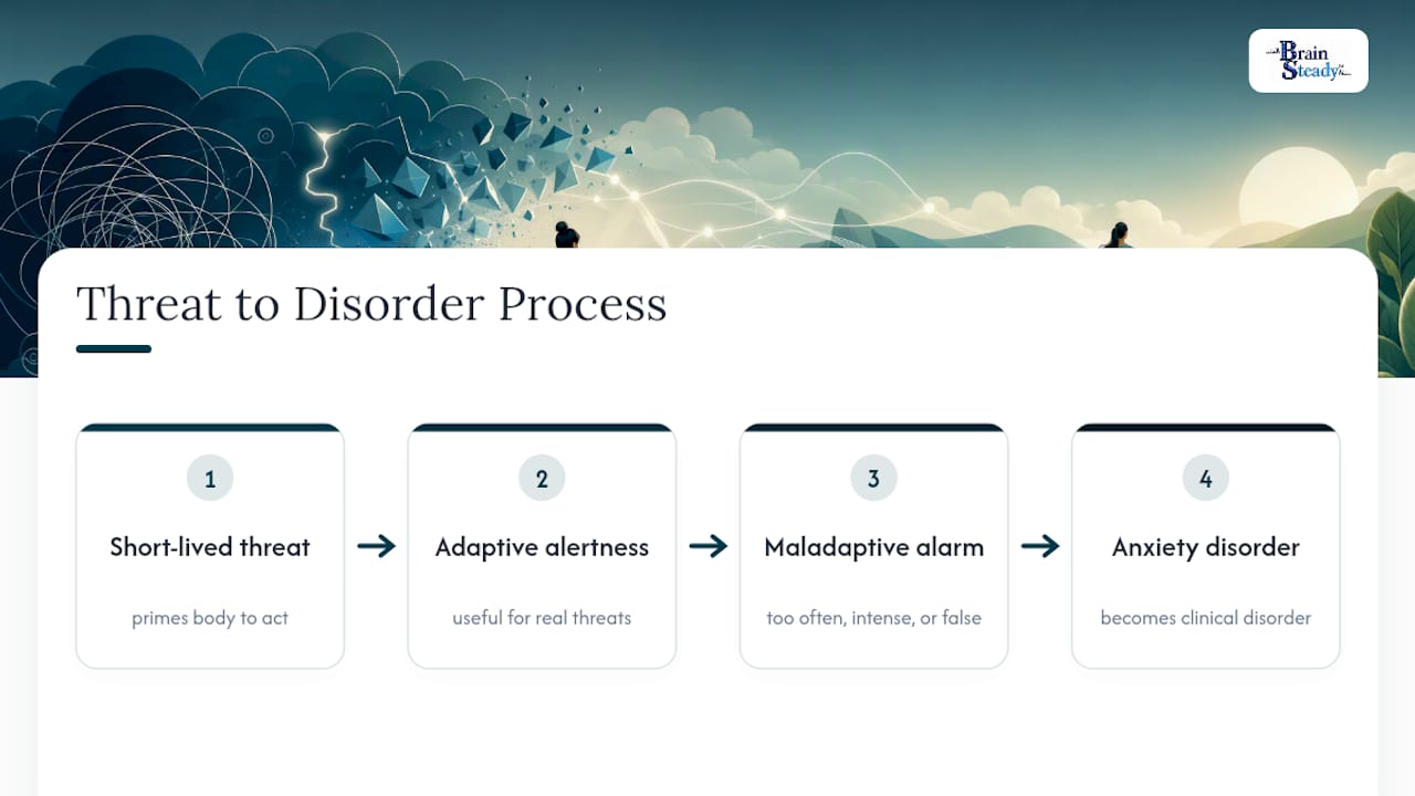 Diagram of adaptive alertness becoming anxiety
