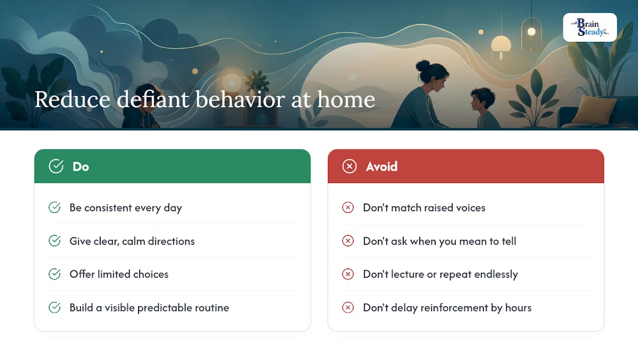 Strategies That Actually Reduce Defiant Behavior at Home — overview diagram