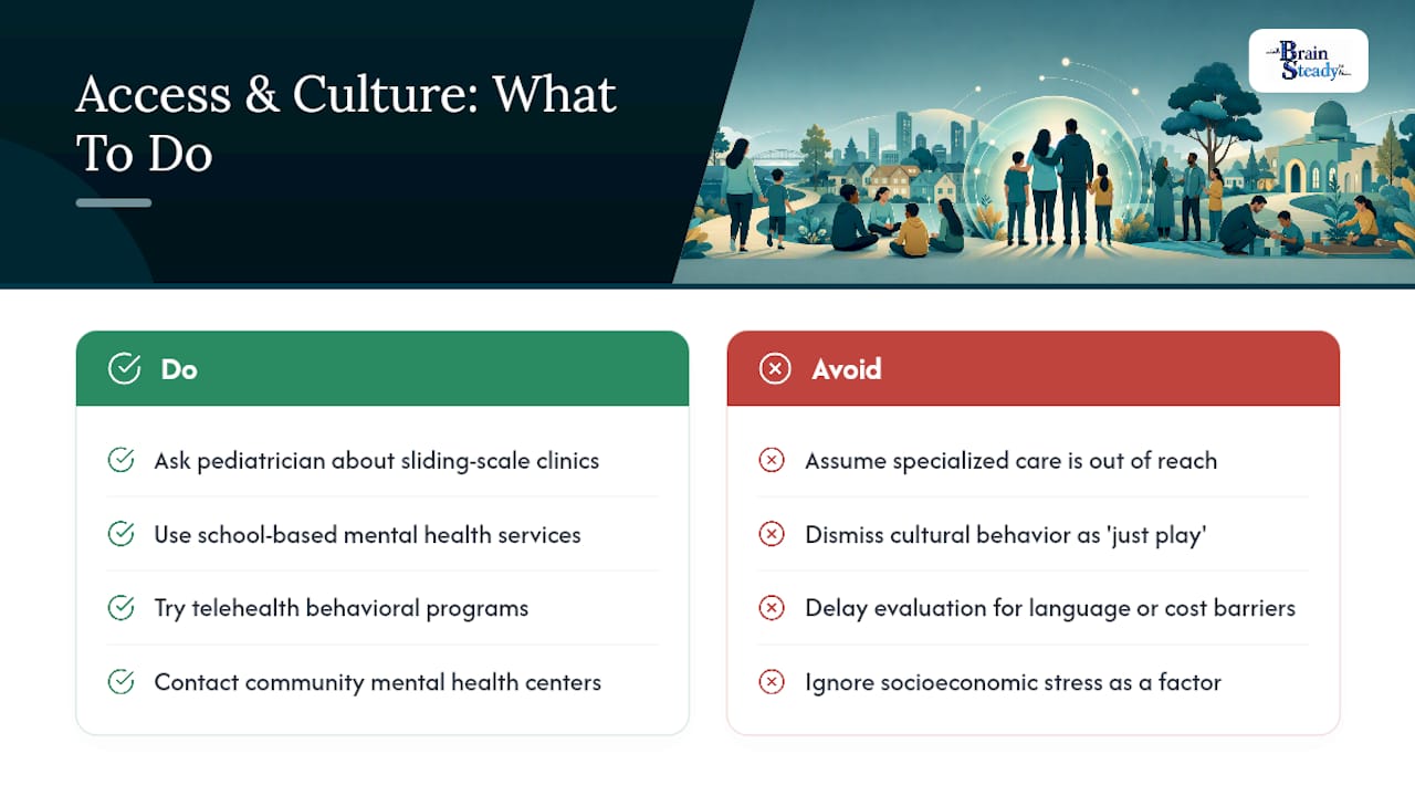 How Do Culture and Income Affect Conduct Disorder Diagnosis and Care? — overview diagram