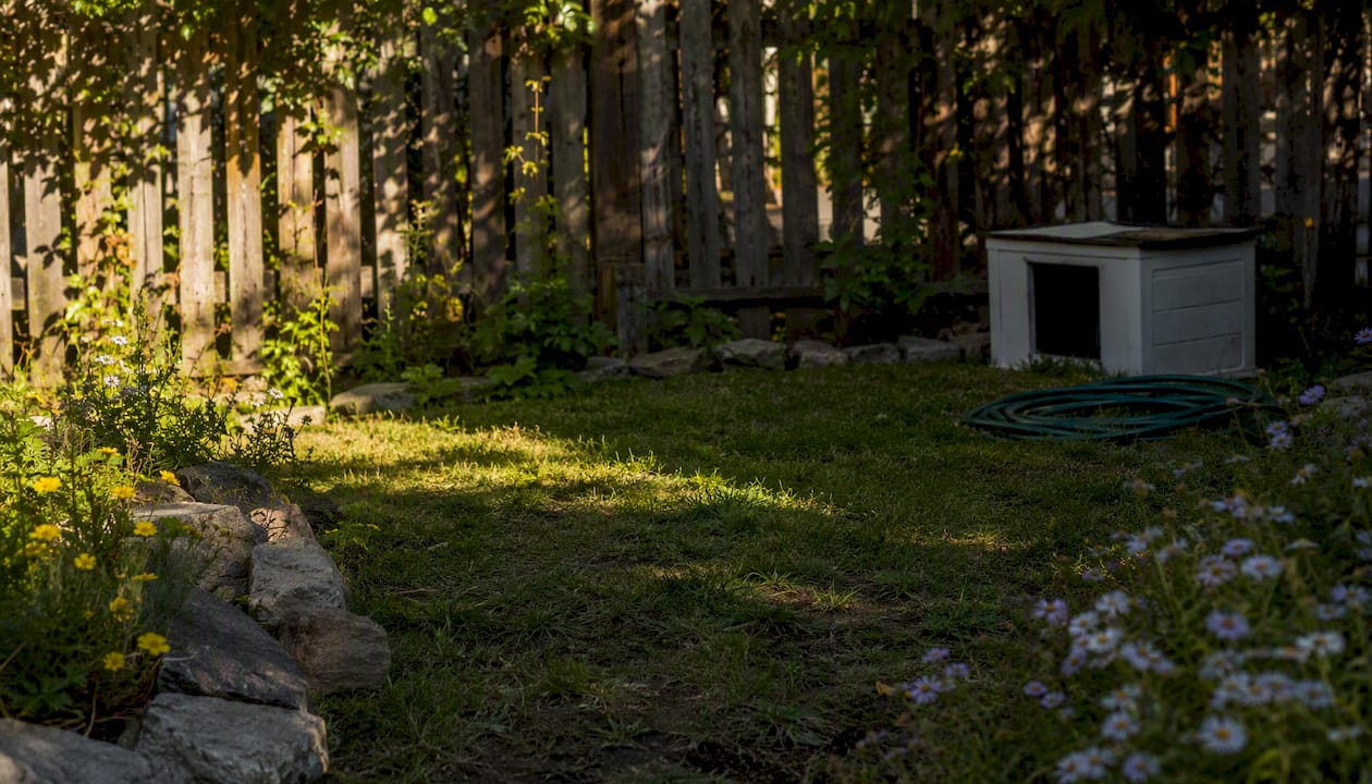 Backyard spot with morning sun and natural shade