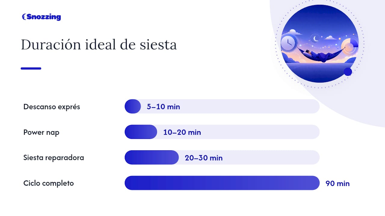 Duración de la siesta según la edad y el cronotipo