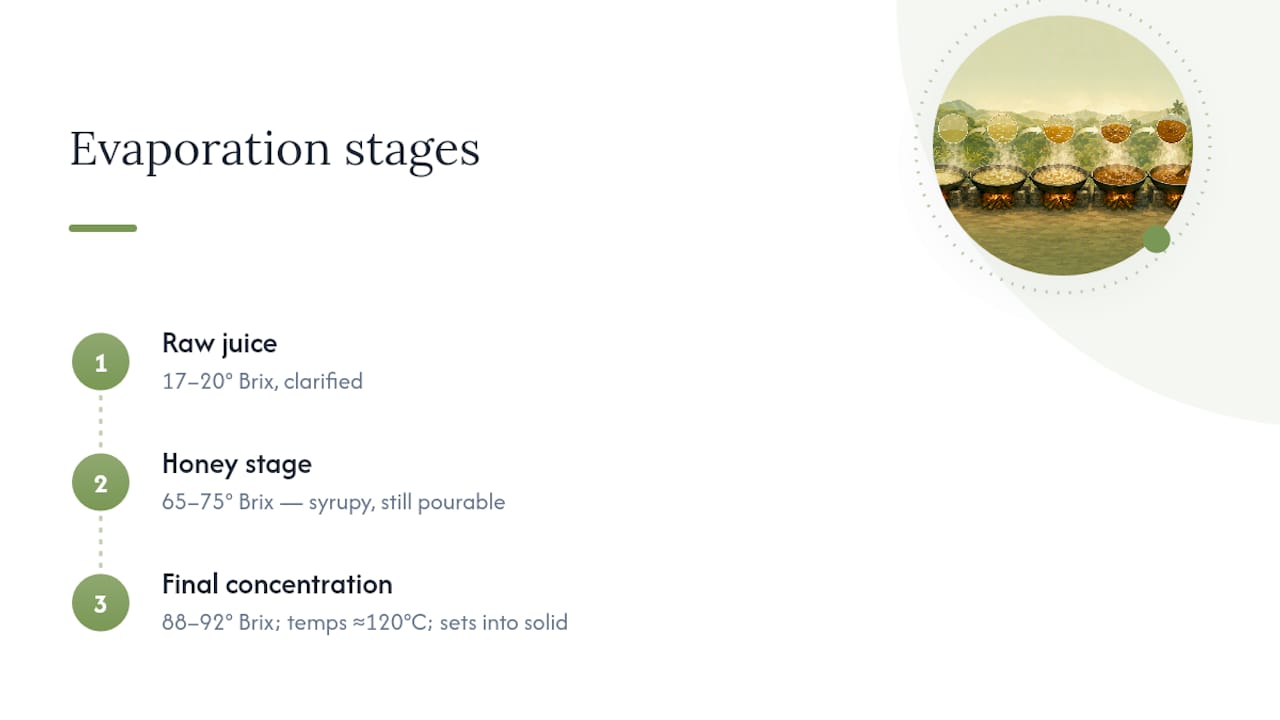 Stage 4: Evaporation, the Stage That Makes or Breaks the Batch — overview diagram