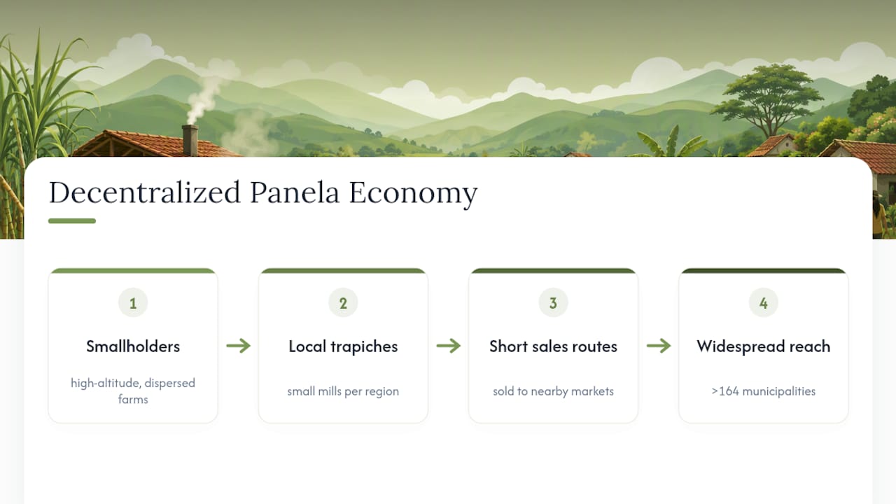 Decentralized Colombian panela production network