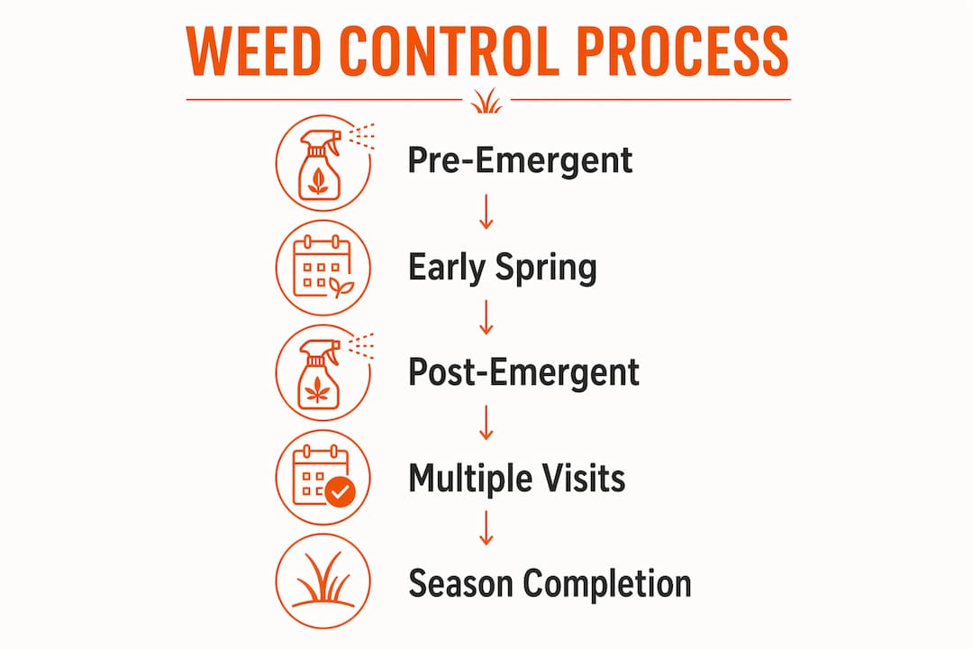 Infographic showing weed control seasonal treatment stages in North Kansas City