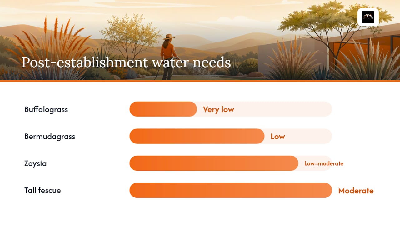 Comparison chart of drought tolerant grass species