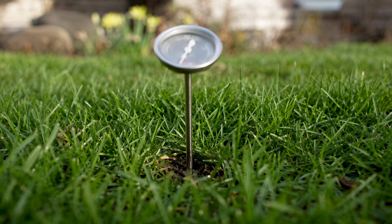 Soil temperature probe measuring lawn soil