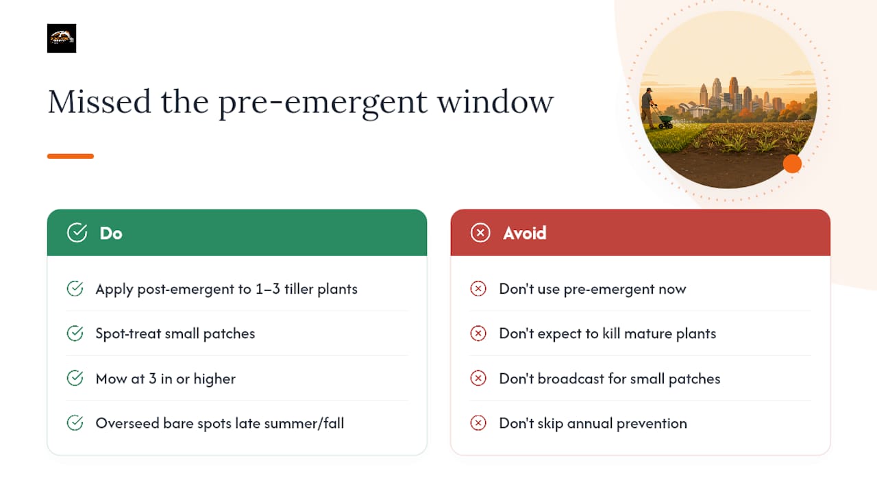 What should you do if you missed the pre-emergent window? — overview diagram