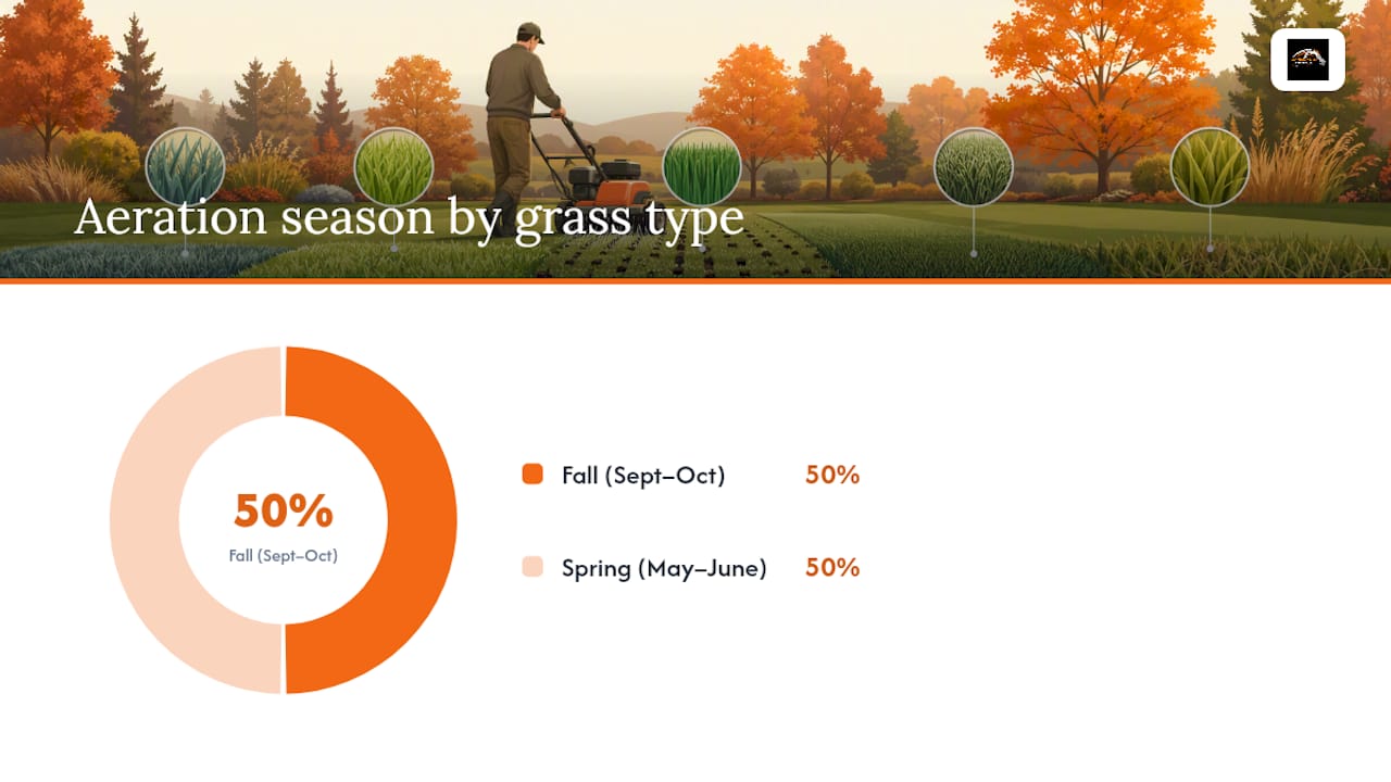 When should you aerate? Timing by grass type and frost deadline — overview diagram