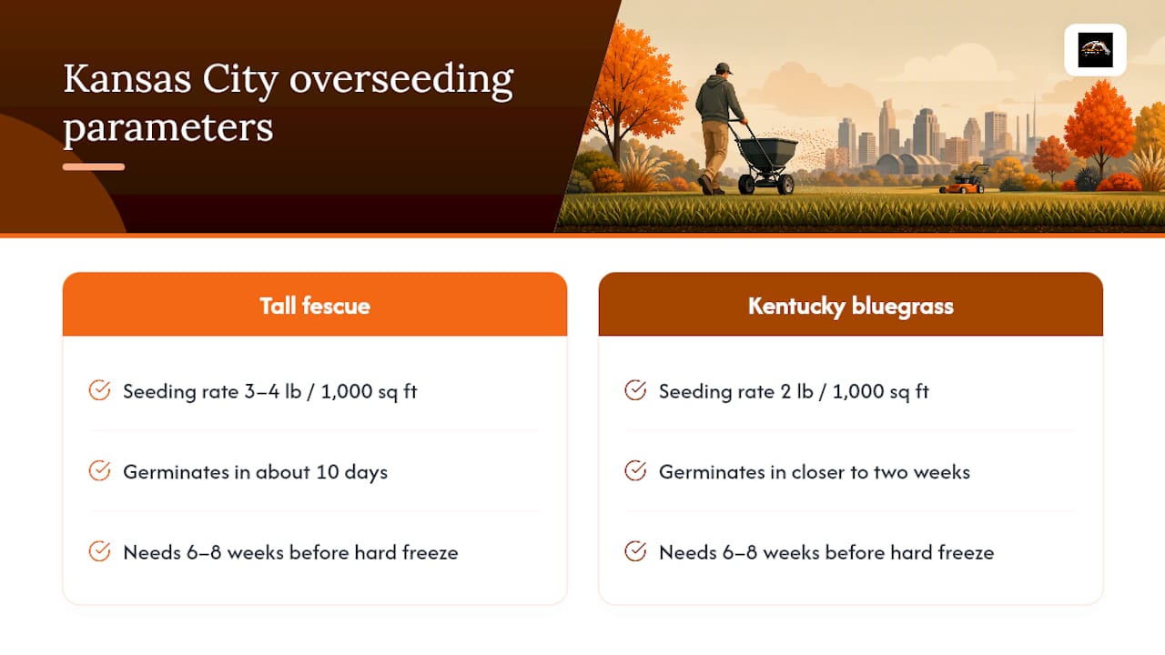 Diagram of overseeding rates and timing for tall fescue and bluegrass