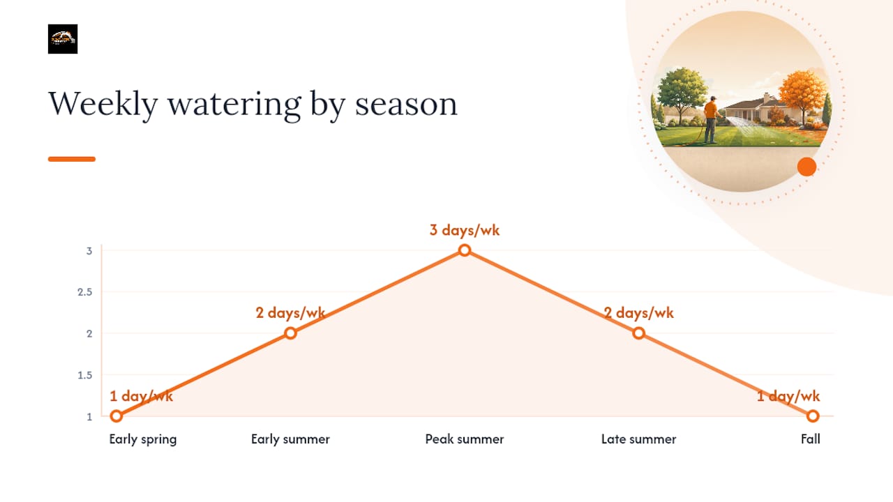 Diagram of seasonal 1-2-3-2-1 watering schedule