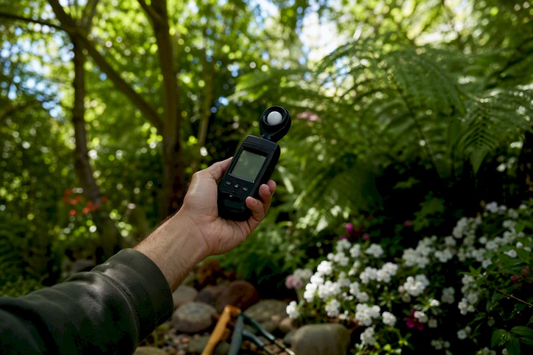 Hand measuring yard sunlight with meter in shade