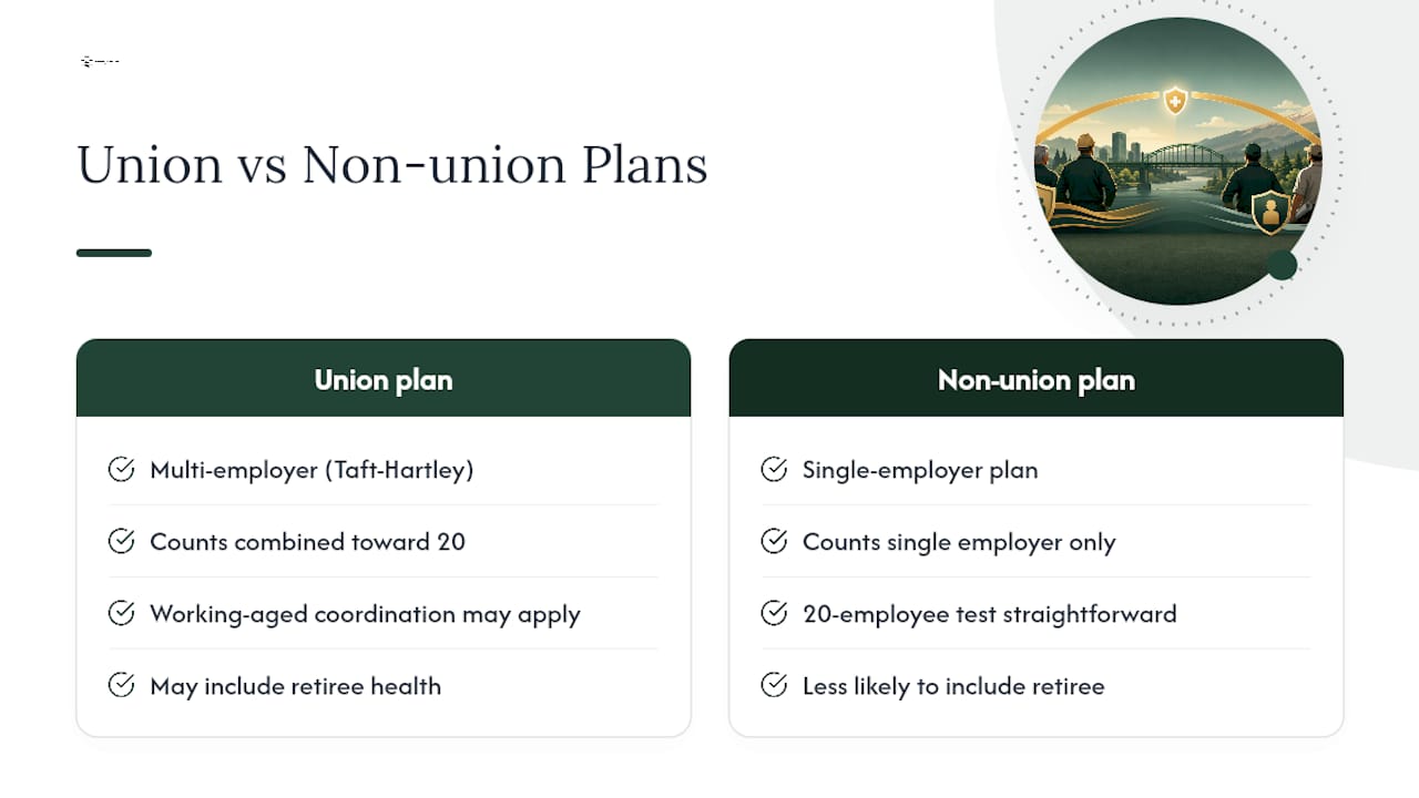 Differences in Coverage Options for Union vs Non-Union Employees — overview diagram