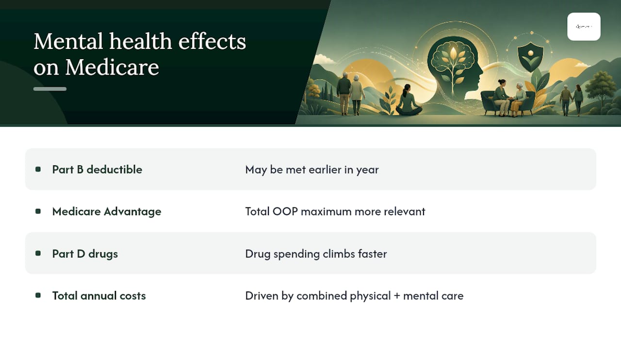 How a Mental Health Diagnosis Affects Your Broader Medicare Usage — overview diagram