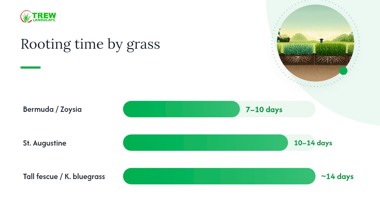 How Do You Adjust Watering for Different Grass Types and Weather? — overview diagram