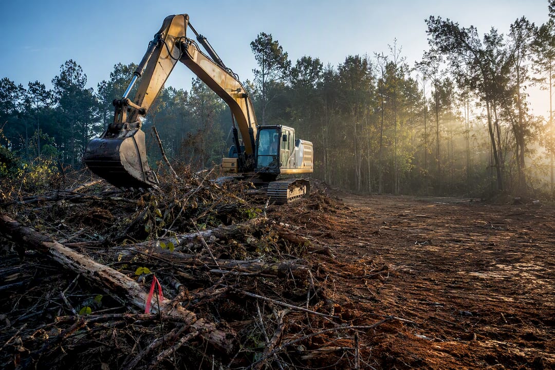 Site Clearing vs Grubbing: Contract Clauses Contractors Need
