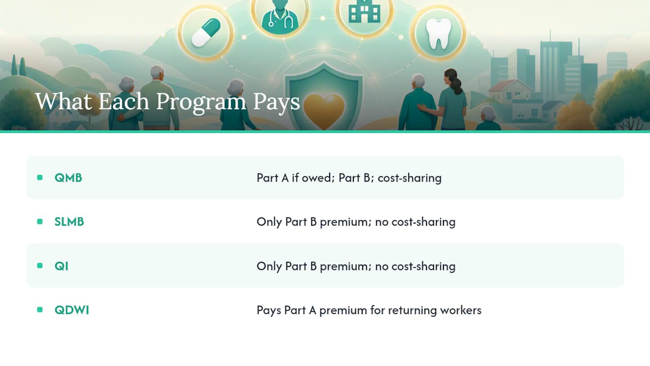 What Exactly Do These Programs Pay For? — overview diagram