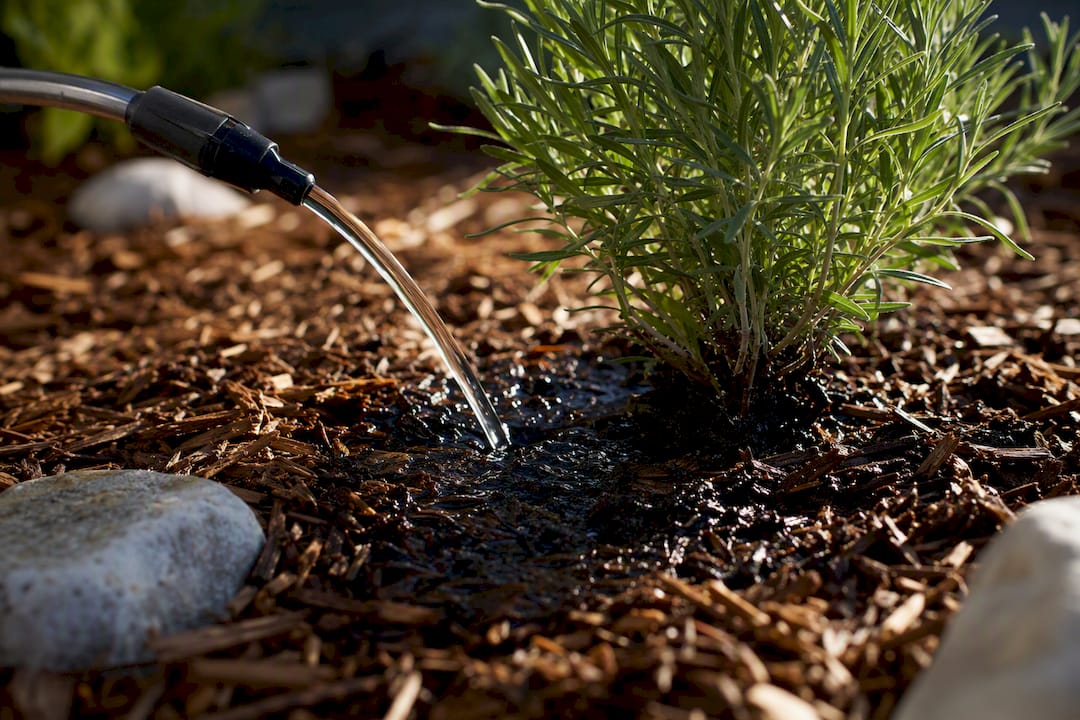 Deep watering at a plant root zone