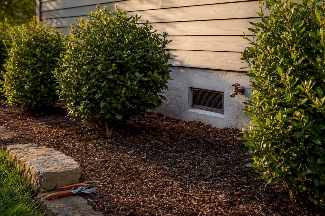 Spaced shrubs leaving foundation access clear